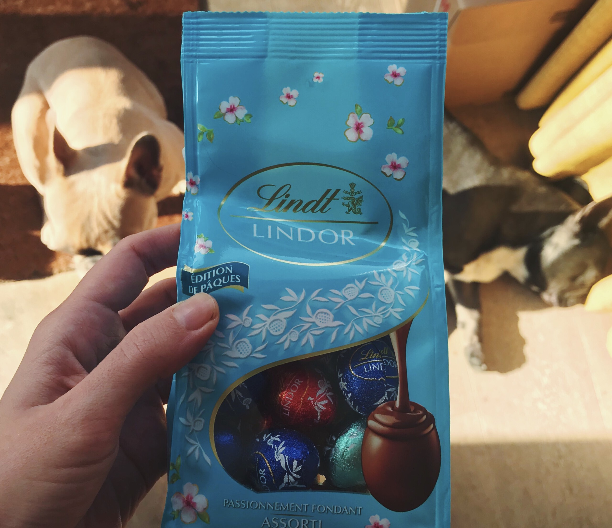 Lindt paaseitjes